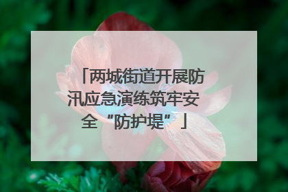 两城街道开展防汛应急演练筑牢安全“防护堤”