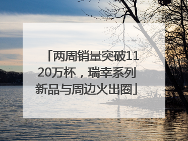两周销量突破1120万杯，瑞幸系列新品与周边火出圈