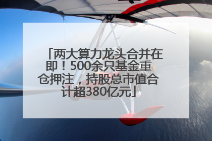 两大算力龙头合并在即！500余只基金重仓押注，持股总市值合计超380亿元
