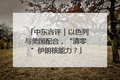 中东睿评｜以色列与美国配合，“清零”伊朗核能力？