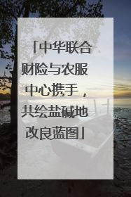 中华联合财险与农服中心携手，共绘盐碱地改良蓝图