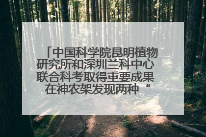 中国科学院昆明植物研究所和深圳兰科中心联合科考取得重要成果 在神农架发现两种“国保”级兰花