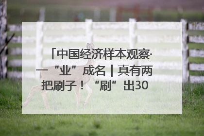 中国经济样本观察·一“业”成名｜真有两把刷子！“刷”出30亿级“颜值经济”