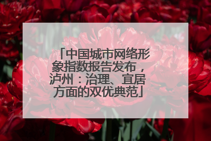 中国城市网络形象指数报告发布，泸州：治理、宜居方面的双优典范