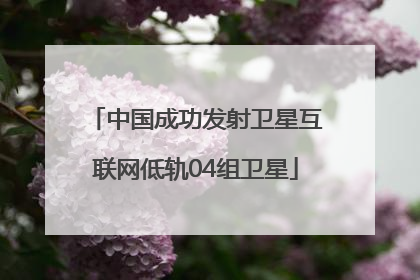 中国成功发射卫星互联网低轨04组卫星