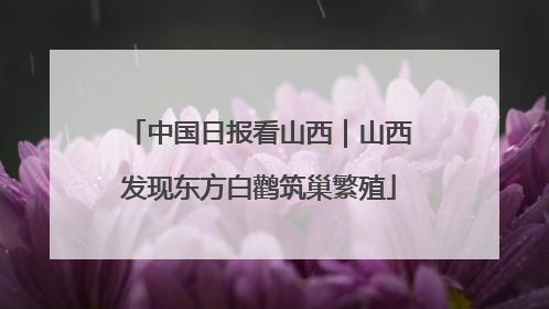 中国日报看山西｜山西发现东方白鹳筑巢繁殖