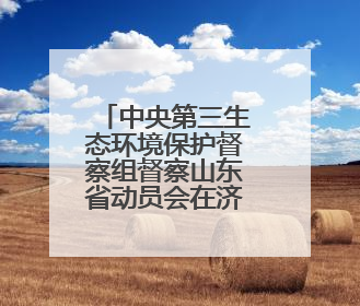 中央第三生态环境保护督察组督察山东省动员会在济南召开