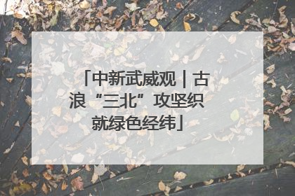 中新武威观｜古浪“三北”攻坚织就绿色经纬