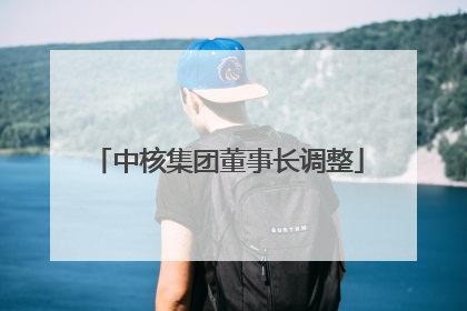 中核集团董事长调整