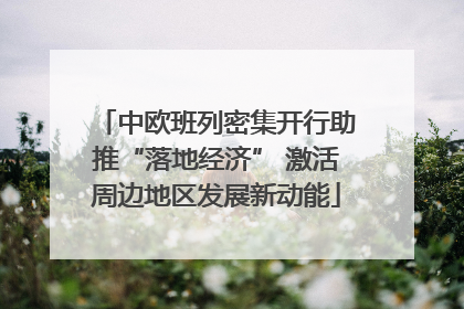 中欧班列密集开行助推“落地经济” 激活周边地区发展新动能