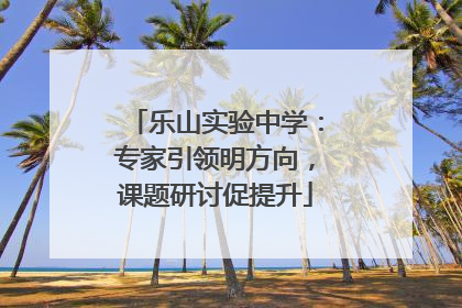 乐山实验中学：专家引领明方向，课题研讨促提升