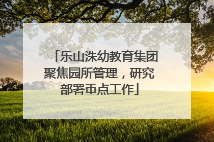 乐山洙幼教育集团聚焦园所管理，研究部署重点工作