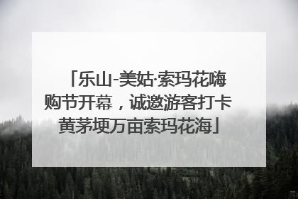 乐山-美姑·索玛花嗨购节开幕，诚邀游客打卡黄茅埂万亩索玛花海
