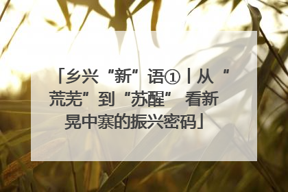 乡兴“新”语①丨从“荒芜”到“苏醒” 看新晃中寨的振兴密码
