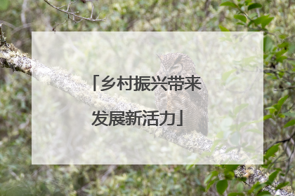 乡村振兴带来发展新活力