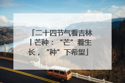 二十四节气看吉林丨芒种：“芒”着生长，“种”下希望