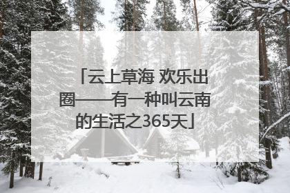 云上草海 欢乐出圈——有一种叫云南的生活之365天