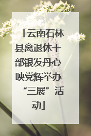 云南石林县离退休干部银发丹心映党辉举办“三展”活动