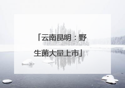 云南昆明：野生菌大量上市