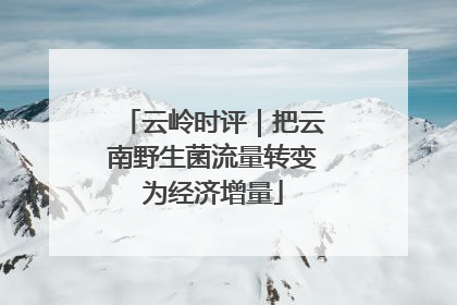 云岭时评｜把云南野生菌流量转变为经济增量