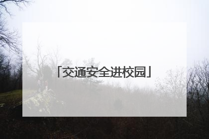 交通安全进校园