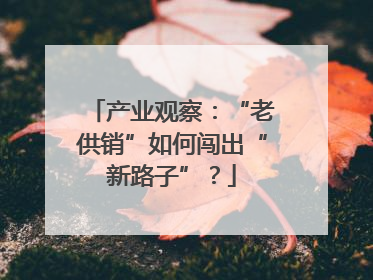 产业观察：“老供销”如何闯出“新路子”？