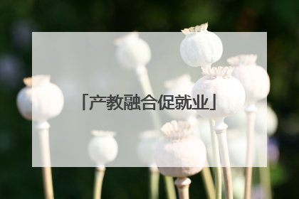产教融合促就业