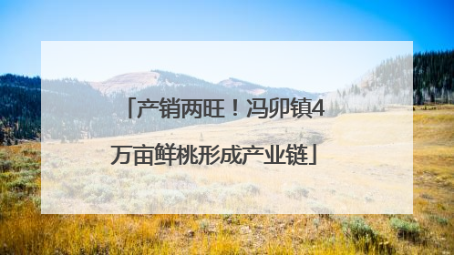 产销两旺！冯卯镇4万亩鲜桃形成产业链