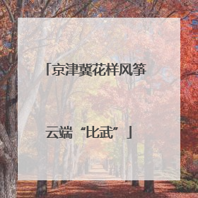 京津冀花样风筝云端“比武”