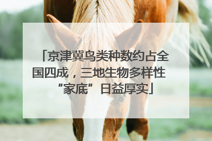 京津冀鸟类种数约占全国四成，三地生物多样性“家底”日益厚实