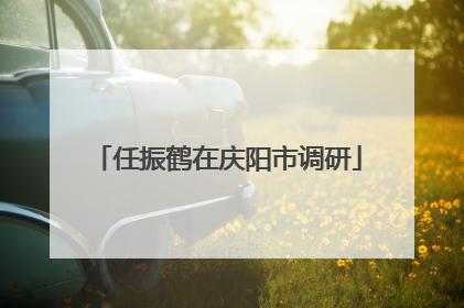 任振鹤在庆阳市调研