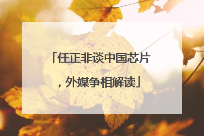 任正非谈中国芯片，外媒争相解读