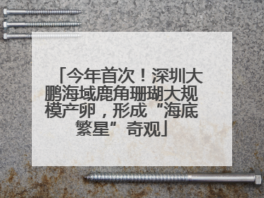 今年首次！深圳大鹏海域鹿角珊瑚大规模产卵，形成“海底繁星”奇观