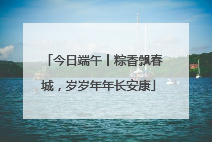今日端午丨粽香飘春城，岁岁年年长安康