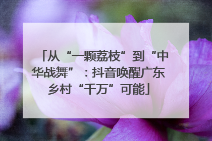 从“一颗荔枝”到“中华战舞”：抖音唤醒广东乡村“千万”可能