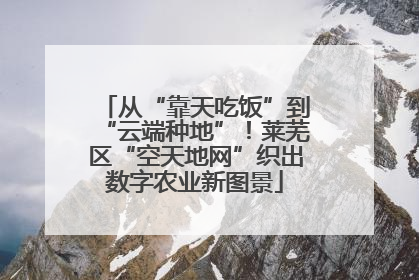 从“靠天吃饭”到“云端种地”！莱芜区“空天地网”织出数字农业新图景