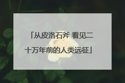 从皮洛石斧 看见二十万年前的人类远征