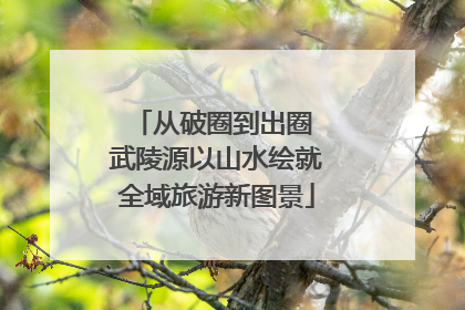 从破圈到出圈 武陵源以山水绘就全域旅游新图景