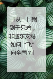 从一口锅到千只鸡，非遗东安鸡如何“飞”向全国？