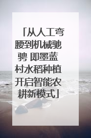 从人工弯腰到机械驰骋 即墨蓝村水稻种植开启智能农耕新模式