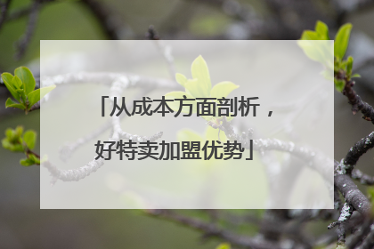 从成本方面剖析，好特卖加盟优势