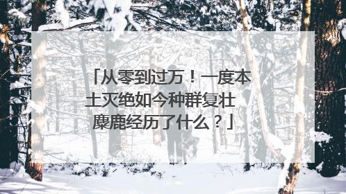 从零到过万！一度本土灭绝如今种群复壮 麋鹿经历了什么？