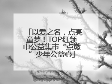 以爱之名，点亮童梦！TOP红领巾公益集市“点燃”少年公益心