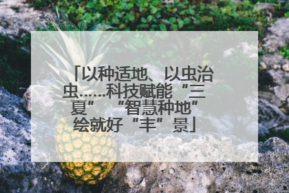 以种适地、以虫治虫……科技赋能“三夏” “智慧种地”绘就好“丰”景
