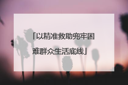 以精准救助兜牢困难群众生活底线