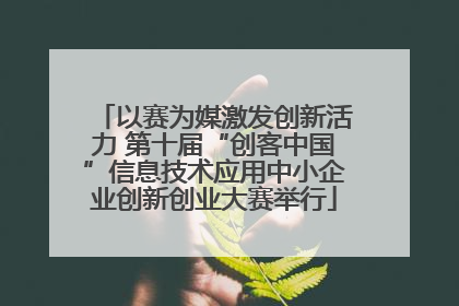 以赛为媒激发创新活力 第十届“创客中国”信息技术应用中小企业创新创业大赛举行