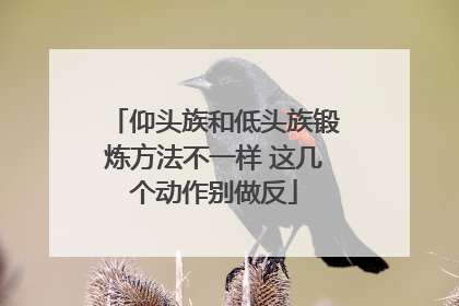 仰头族和低头族锻炼方法不一样 这几个动作别做反