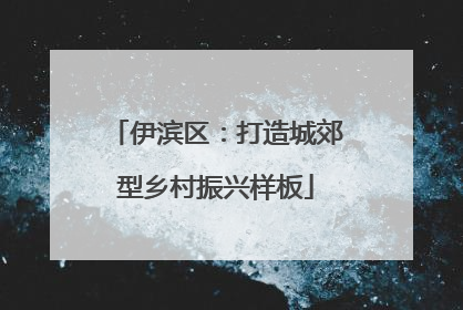 伊滨区：打造城郊型乡村振兴样板