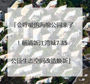 会呼吸的海绵公园来了！杨浦新江湾城7.35公顷生态空间改造焕新