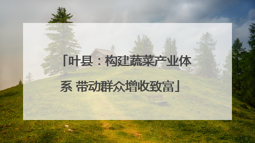 叶县：构建蔬菜产业体系 带动群众增收致富